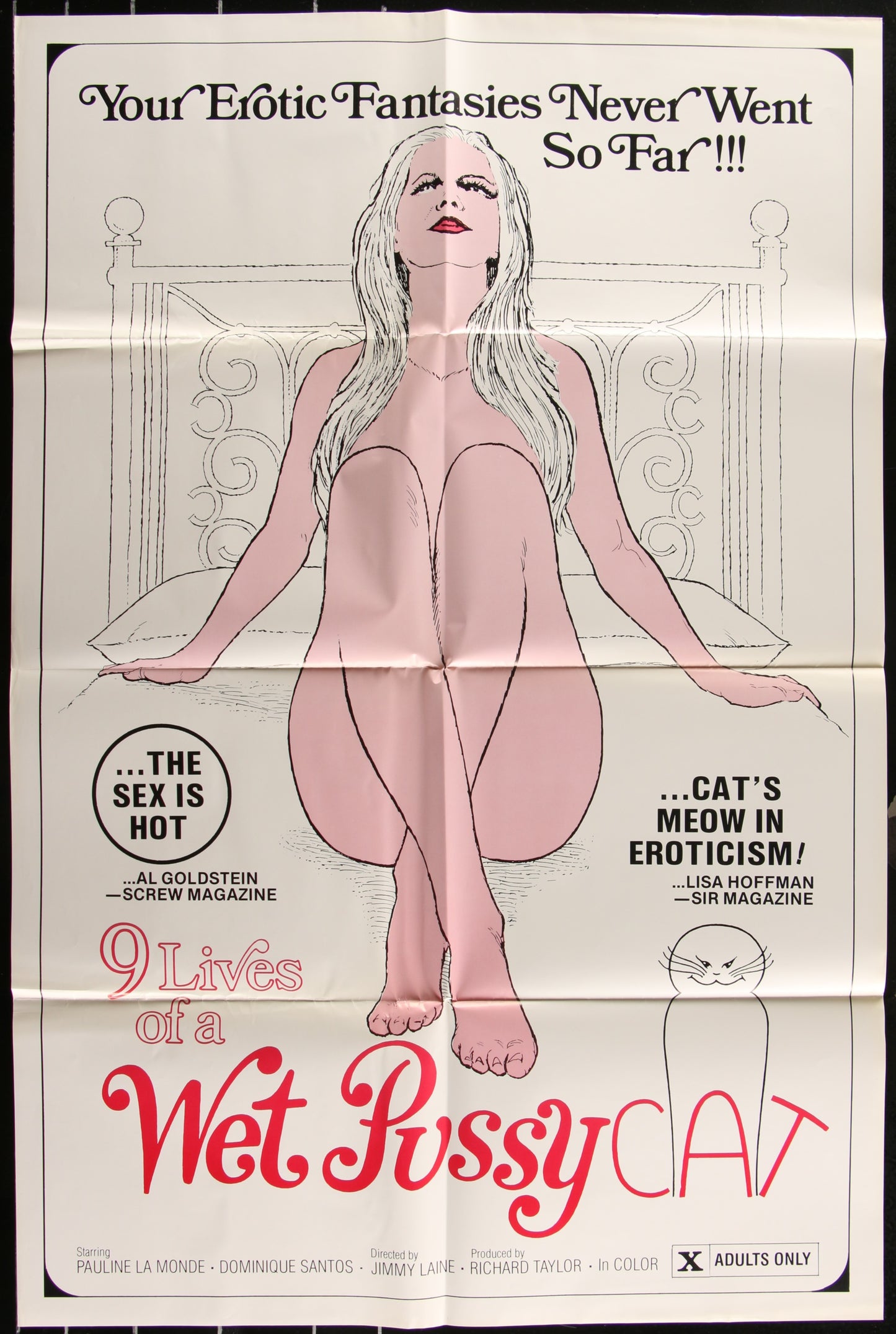 9 Lives Of A Wet Pussy Cat (1976) Original US One Sheet Movie Poster 27 x 41