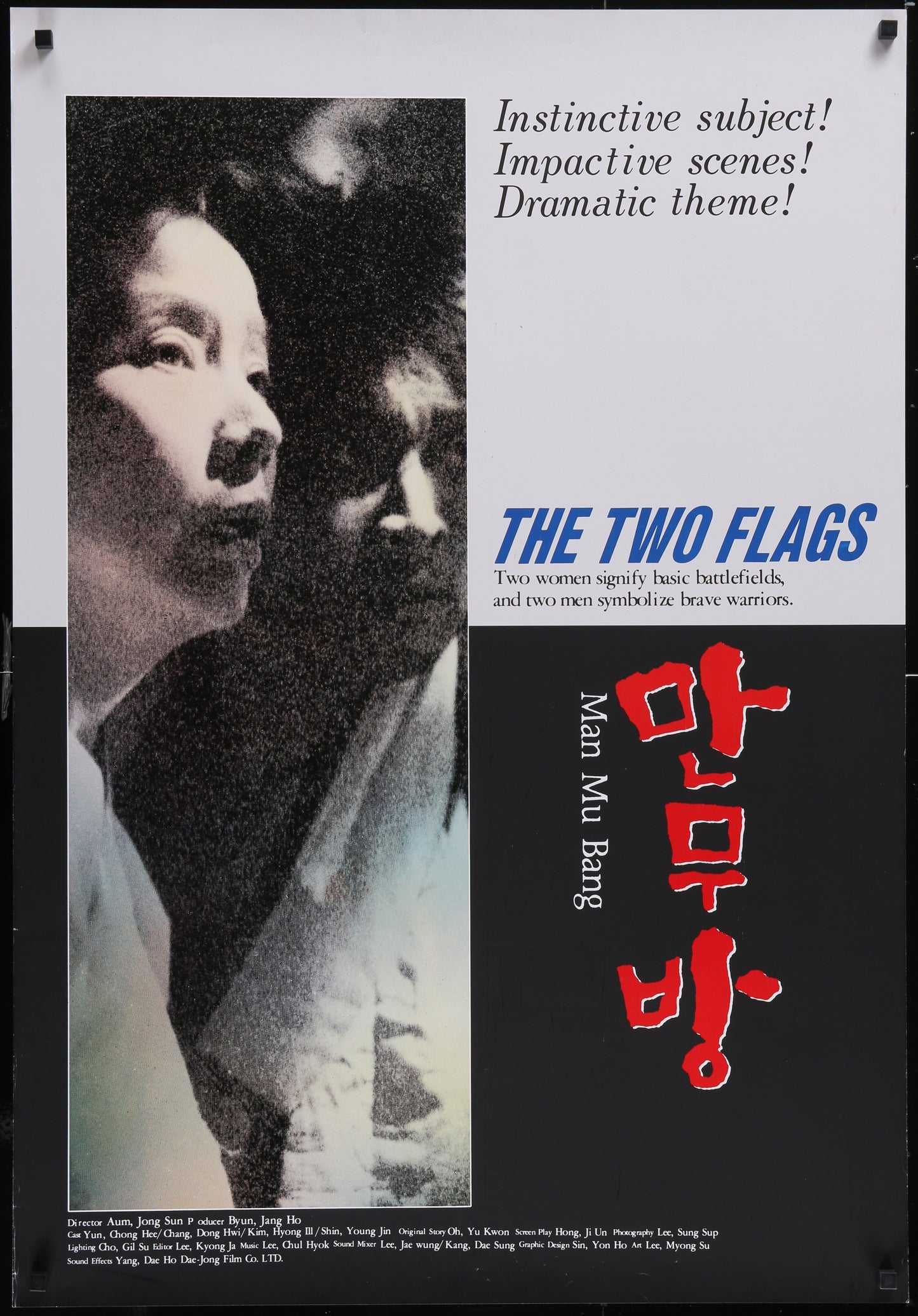 The Two Flags (1994) Original US One Sheet Movie Poster 27 x 39¼