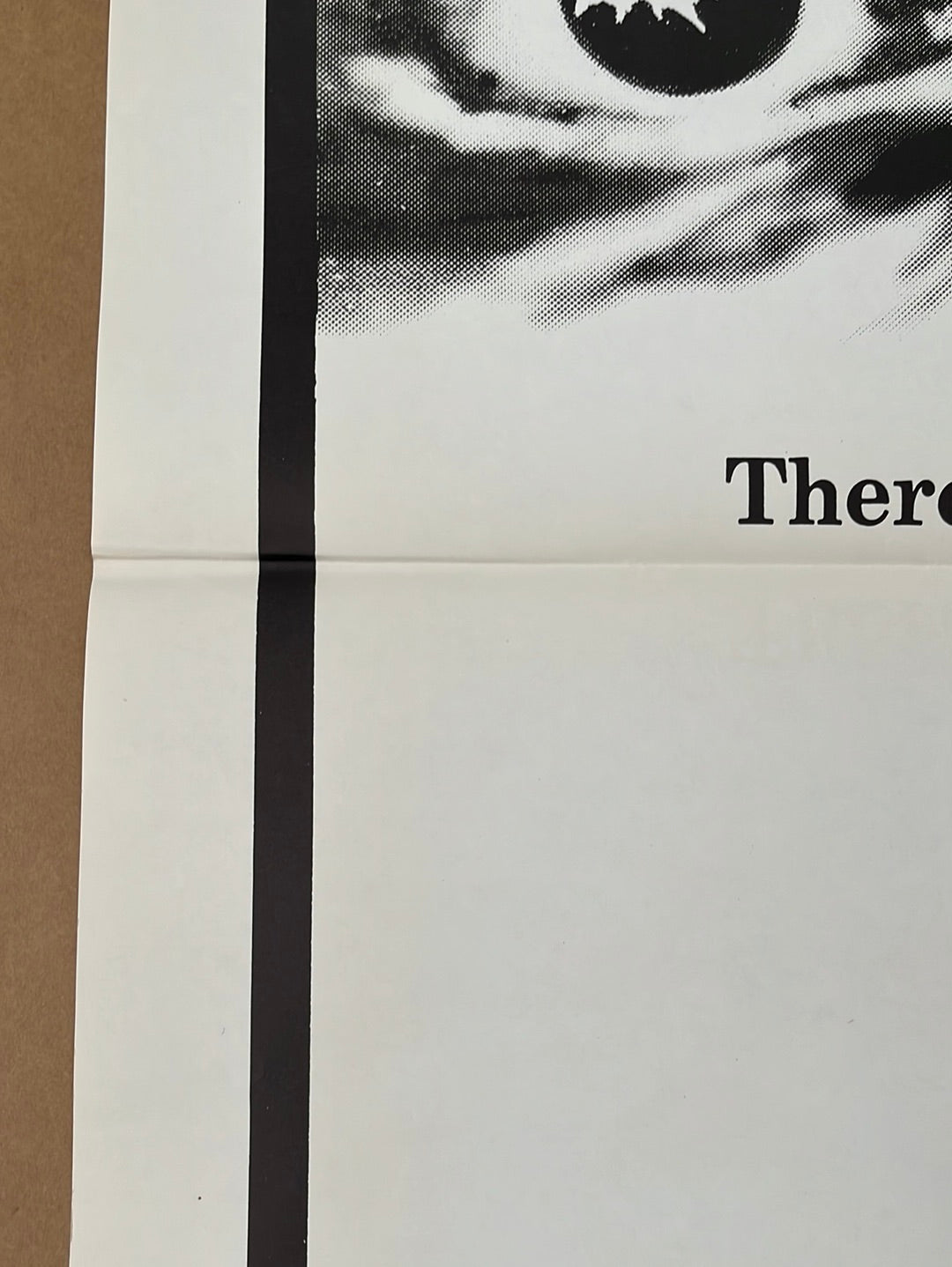 In Search Of Dracula (1974) Original US One Sheet Cinema Poster