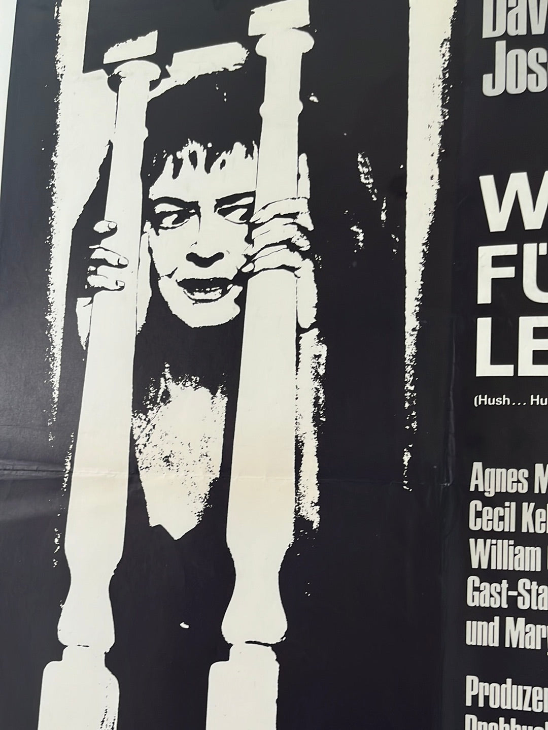 Hush Hush Sweet Charlotte (1965) Original German A1 Movie Poster