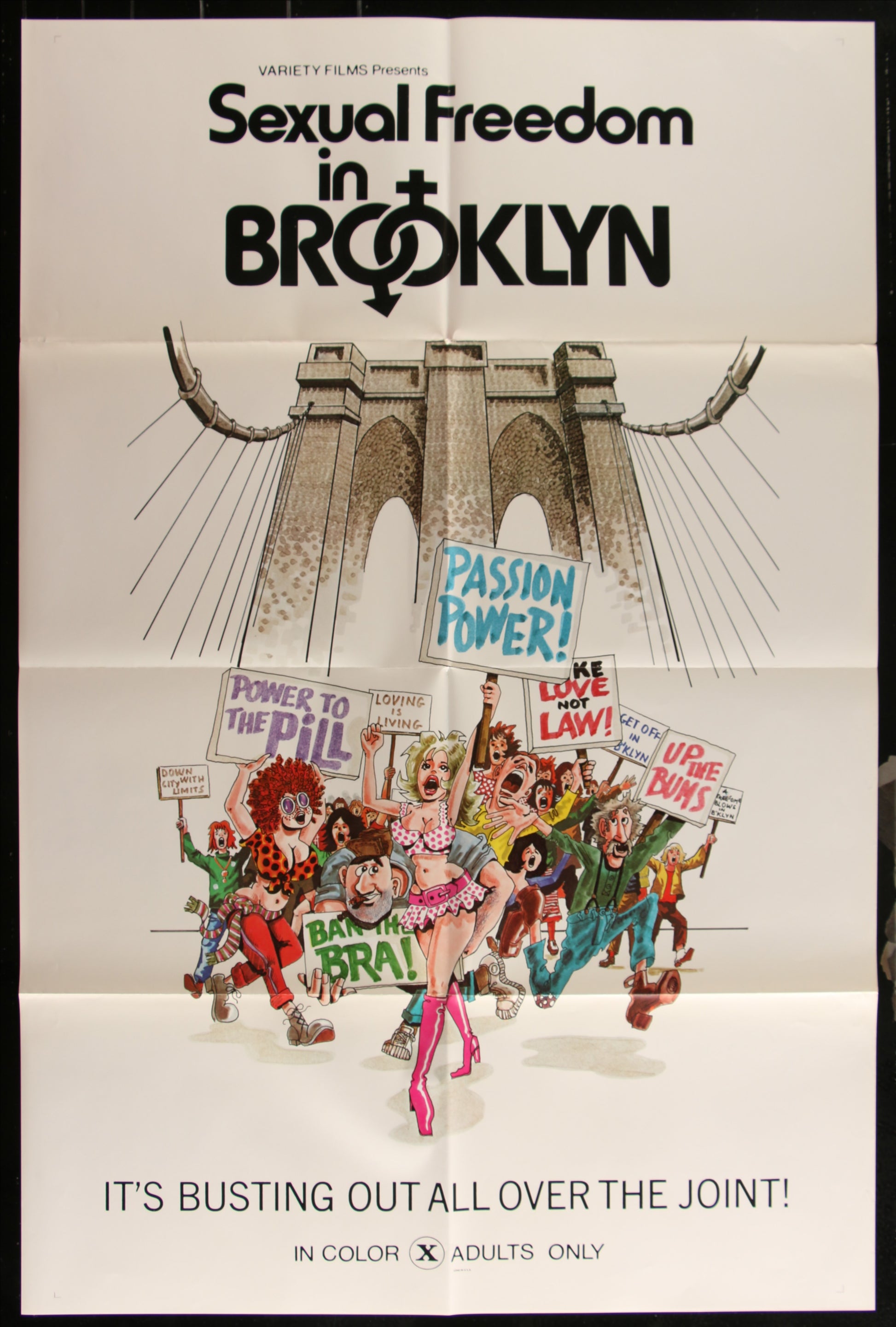 Sexual Freedom In Brooklyn (1971) Original US One Sheet Movie Poster