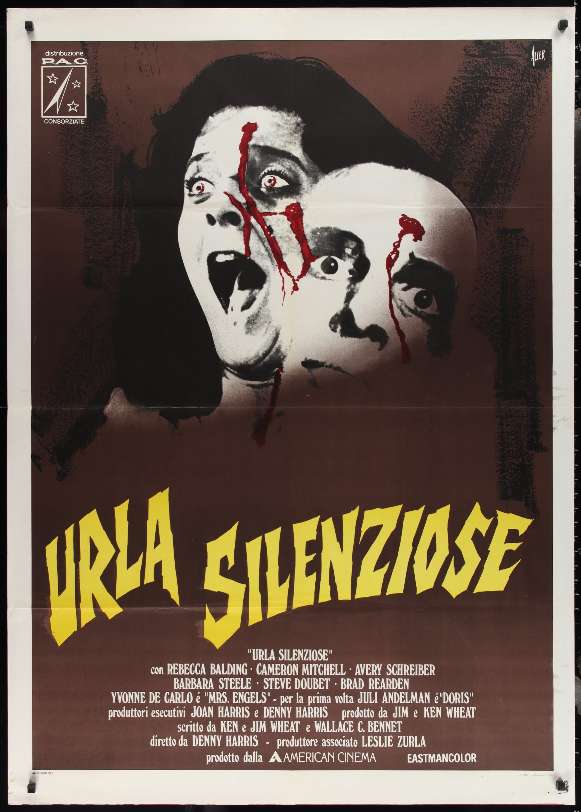 Silent Scream (1980) Original Italian One Panel Movie Poster