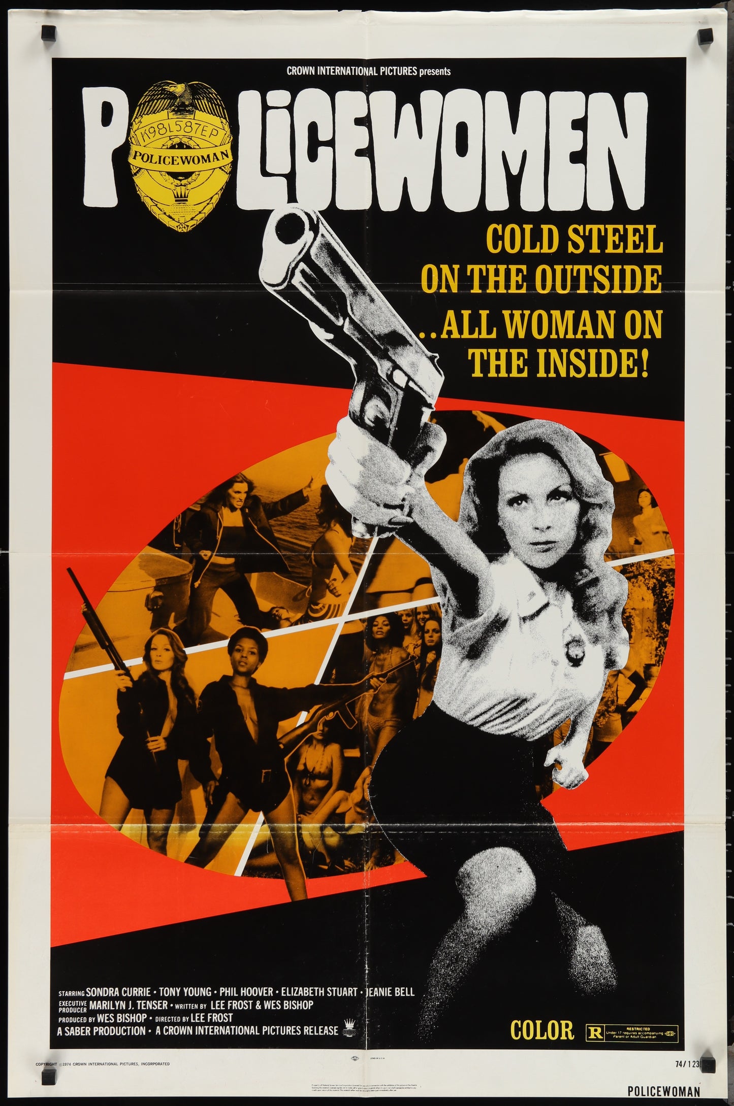 Policewoman (1974) Original US One Sheet Movie Poster