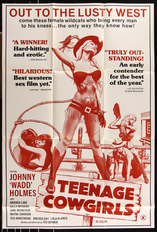 Teenage Cowgirls (1973) Original US One Sheet Movie Poster