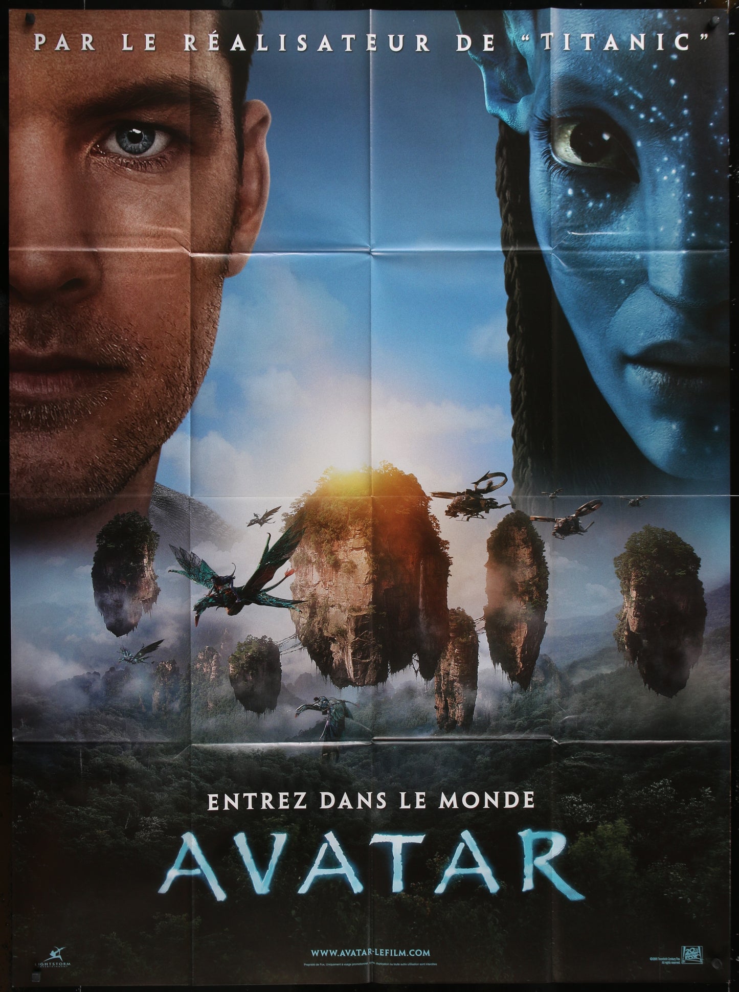 Avater (2009) Original French One Panel Movie Poster