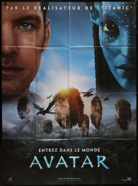 Avater (2009) Original French One Panel Movie Poster