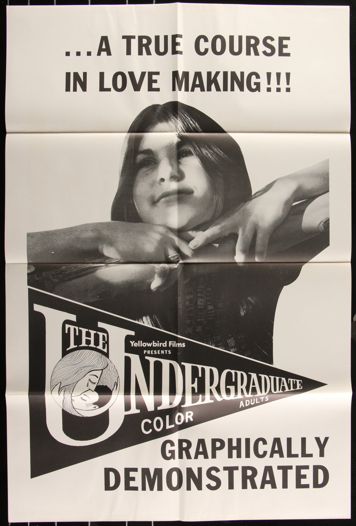 The Undergraduate (1971) Original US One Sheet Movie Poster