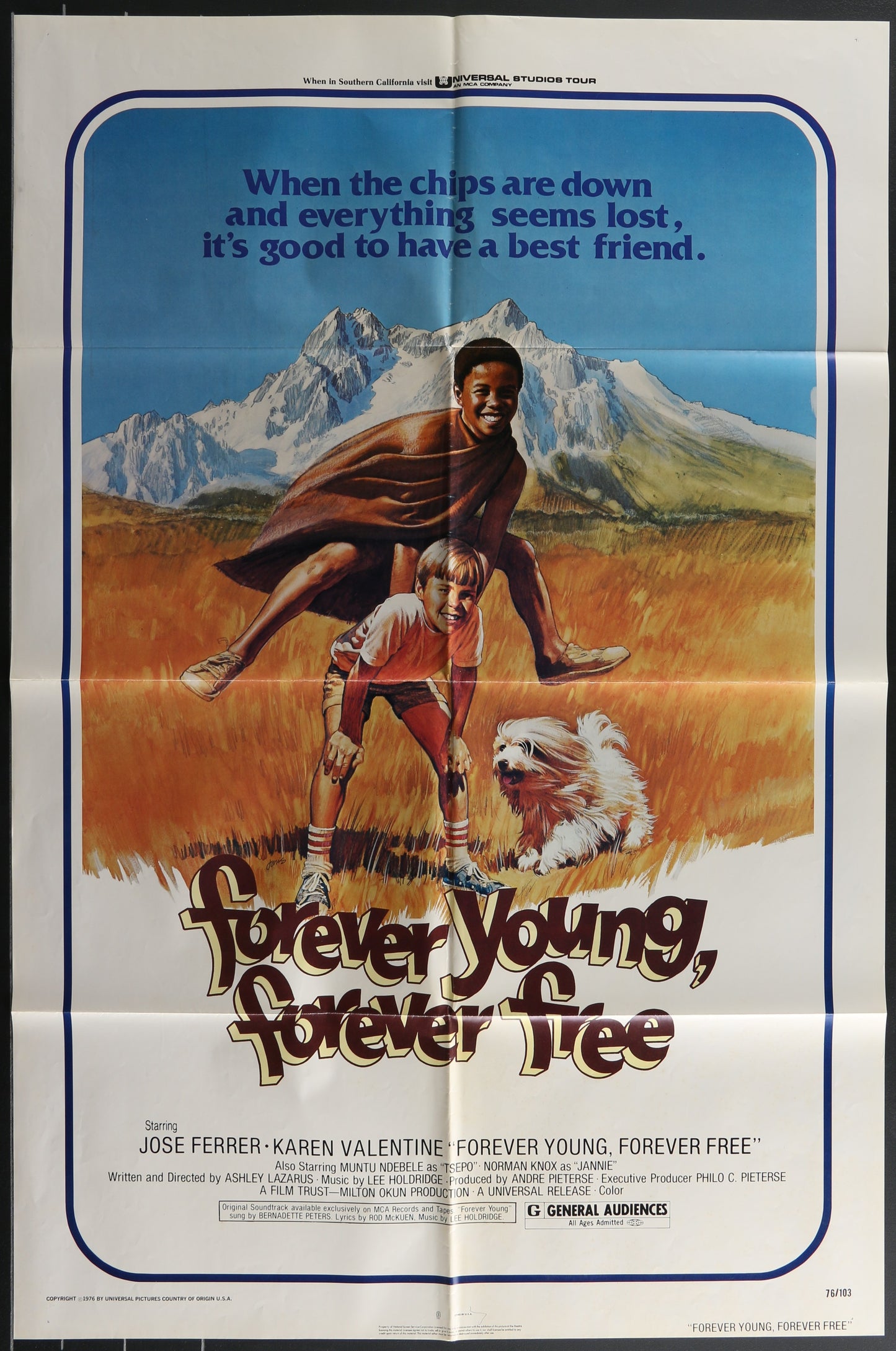 Forever Young, Forever Free (1976) Original US One Sheet Movie Poster