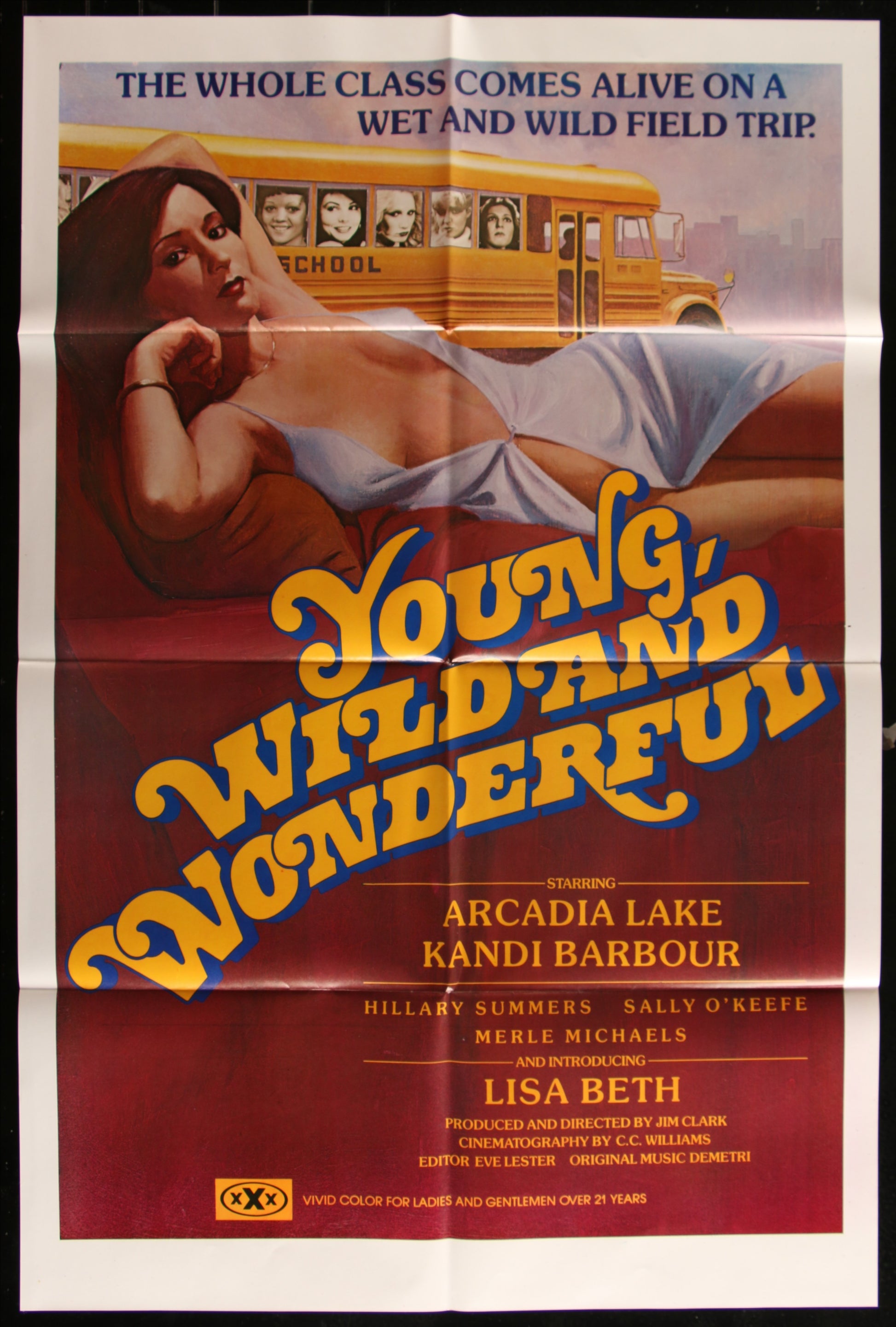 Young, Wild And Wonderful (1980) Original US One Sheet Movie Poster