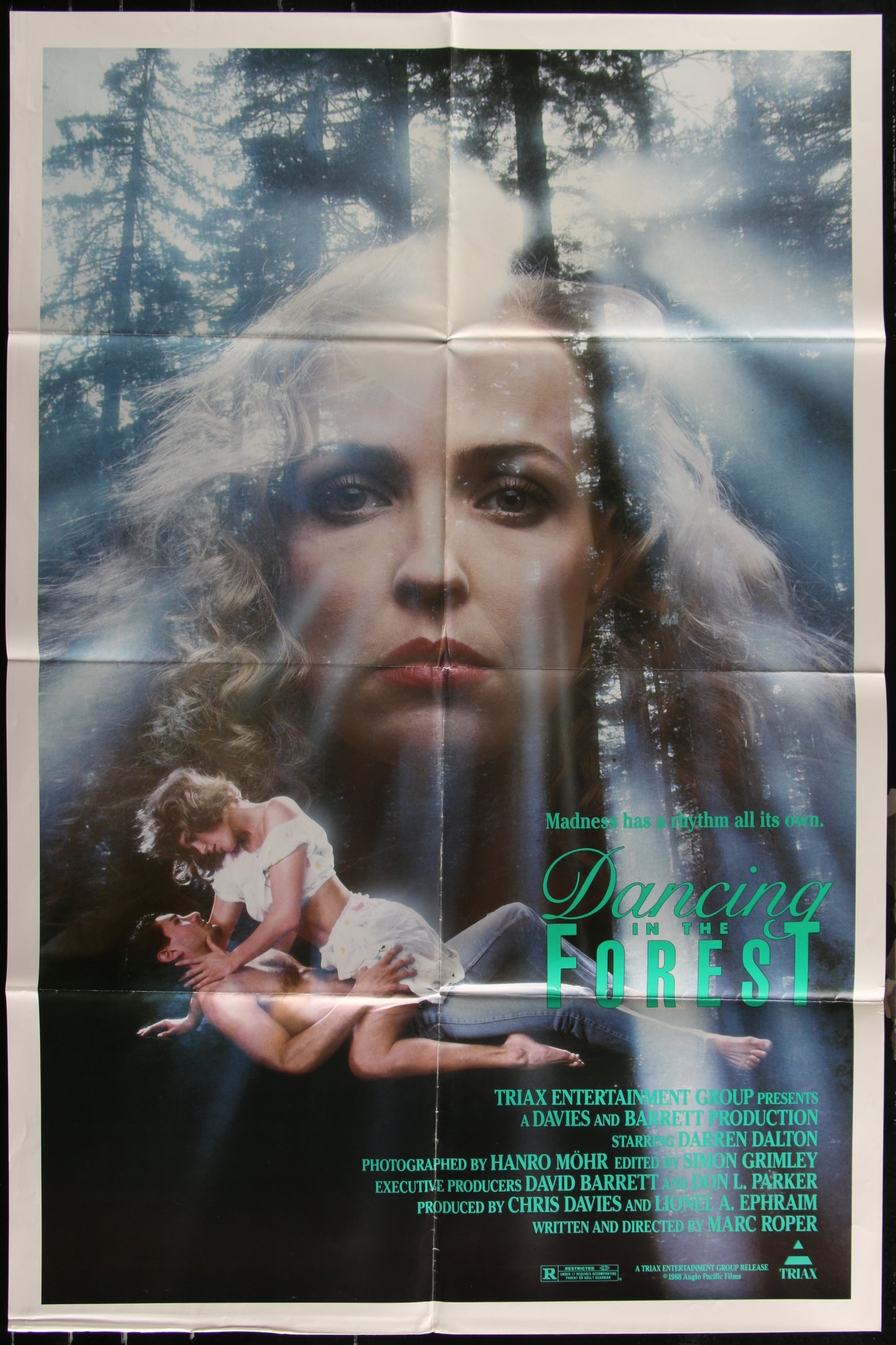 Dancing In The Forest (1989) Original US One Sheet Movie Poster