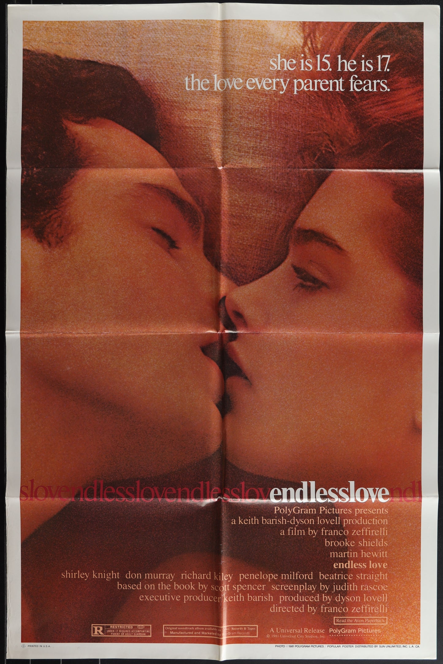 Endless Love (1981) Original US One Sheet Movie Poster