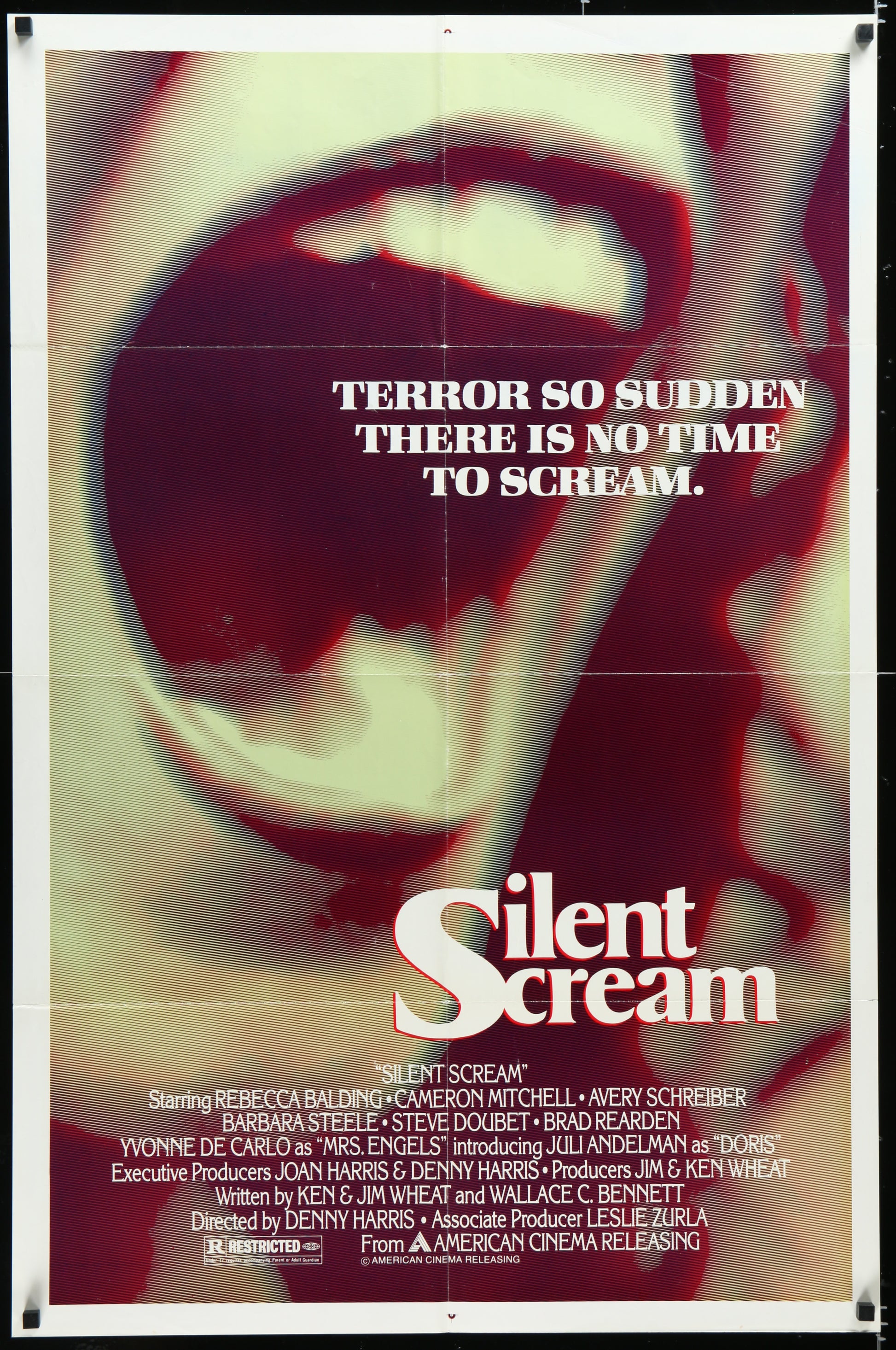 Silent Scream (1980) Original US One Sheet Movie Poster