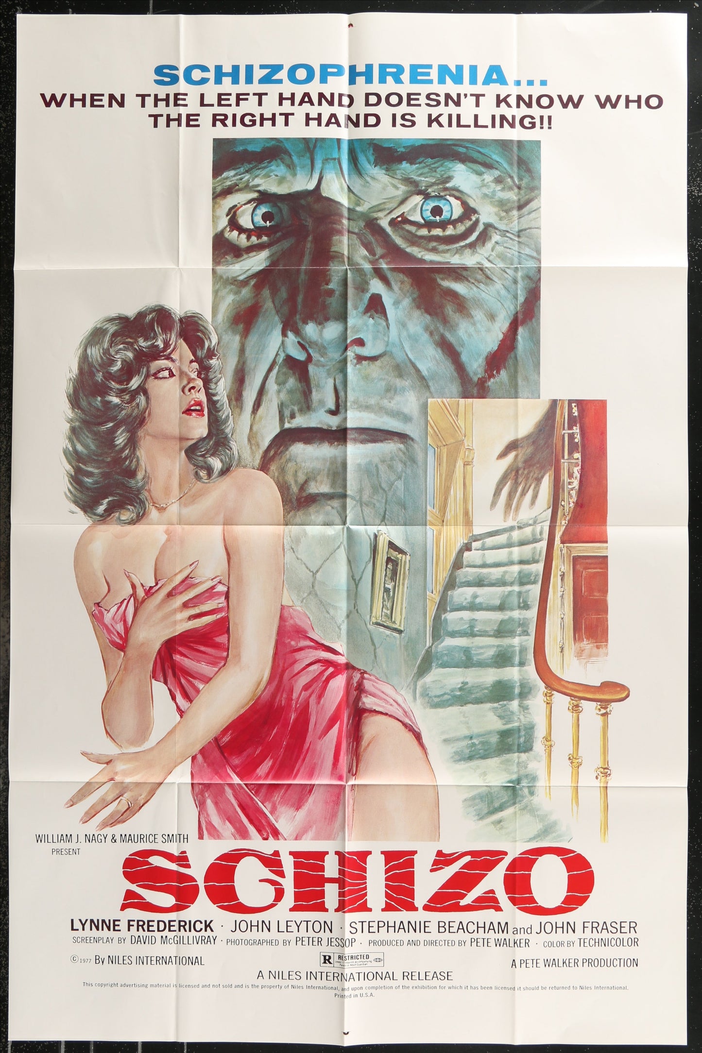 Schizo (1977) Original US One Sheet Movie Poster