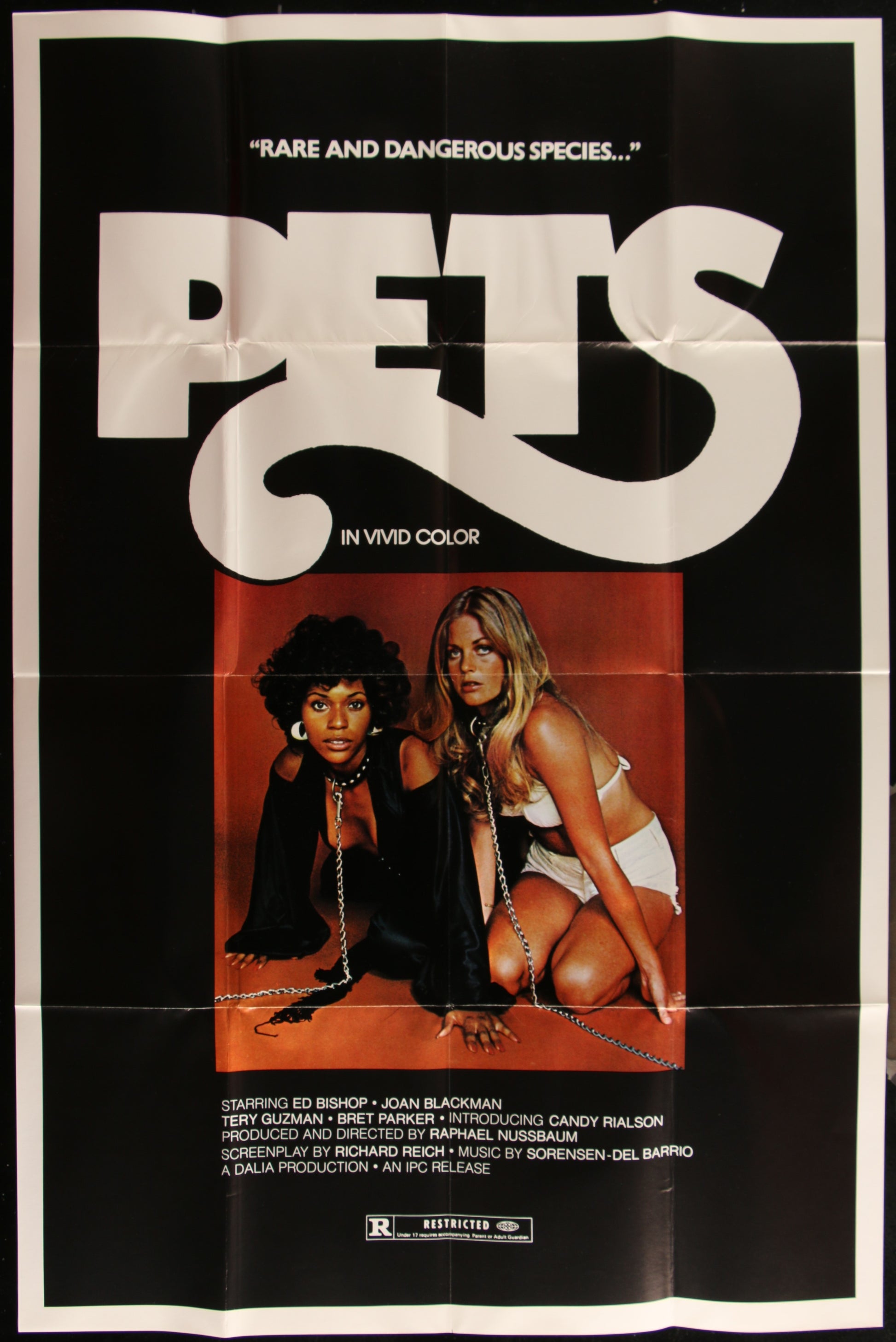 Pets (1973) Original US One Sheet Movie Poster