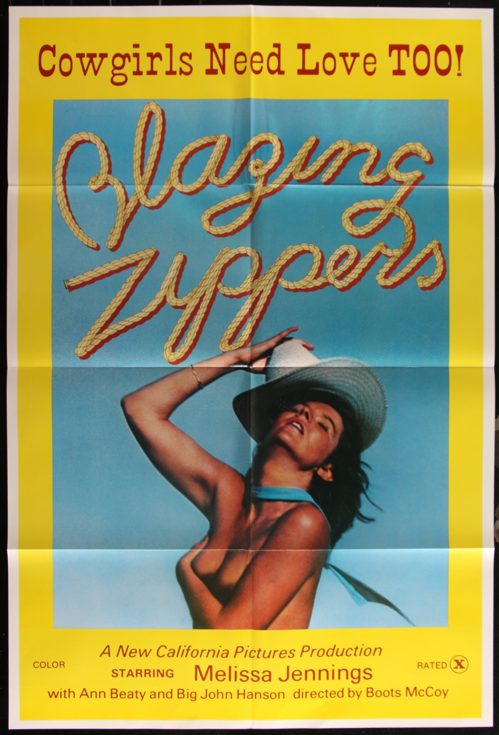 Blazing Zippers (1974) Original US One Sheet Movie Poster