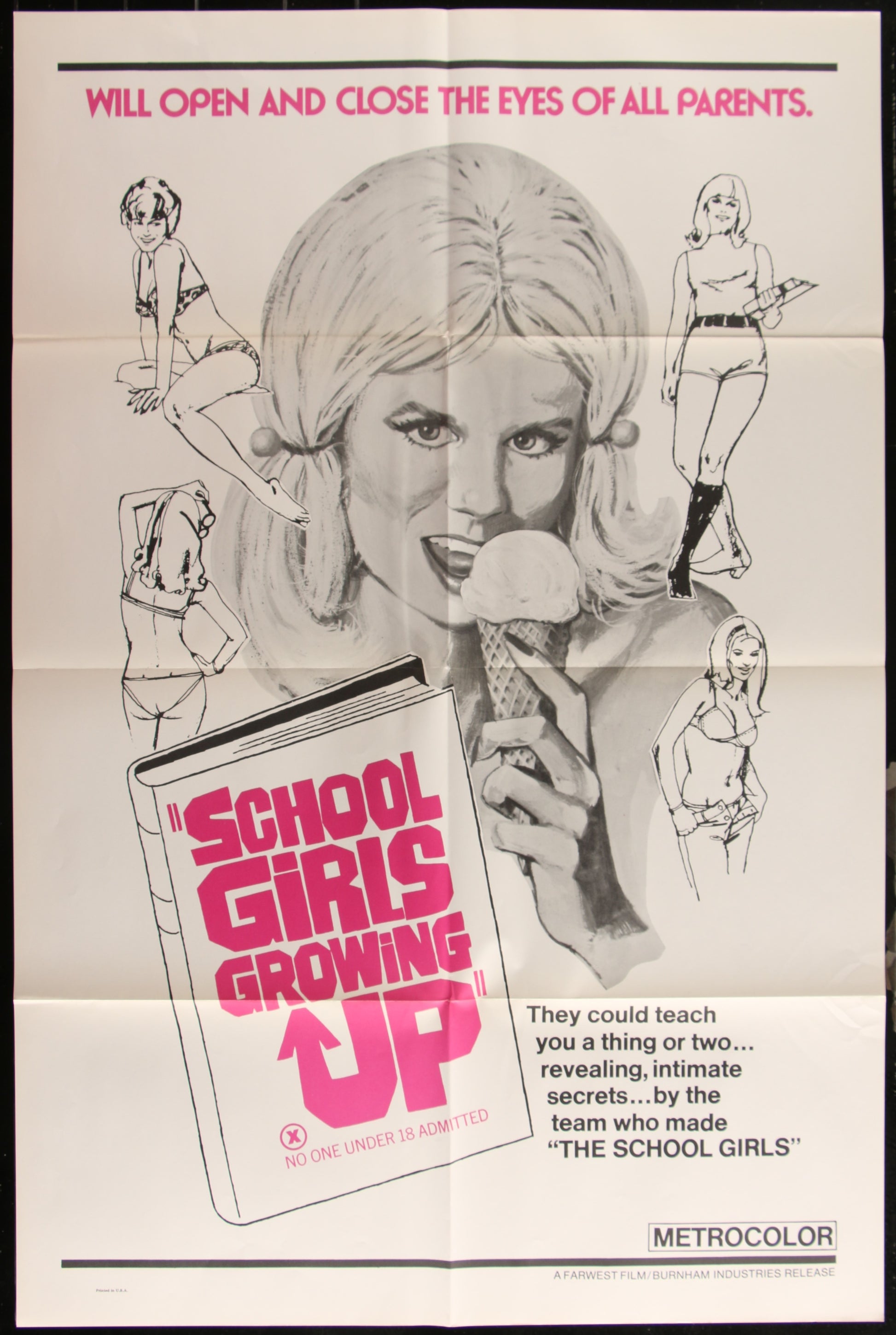 School Girls Growing Up (1972) Original US One Sheet Movie Poster