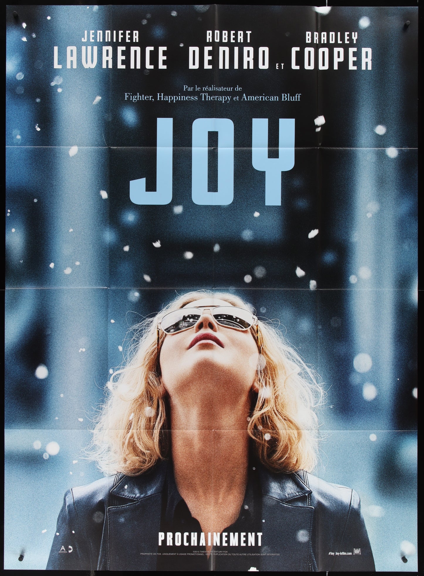 A movie poster featuring the actress Jennifer Lawrence in a pose with her gaze directed upwards, surrounded by snowflakes, indicative of the film's setting or weather. The text 'Joy' and the year '2015' are visible on the poster.