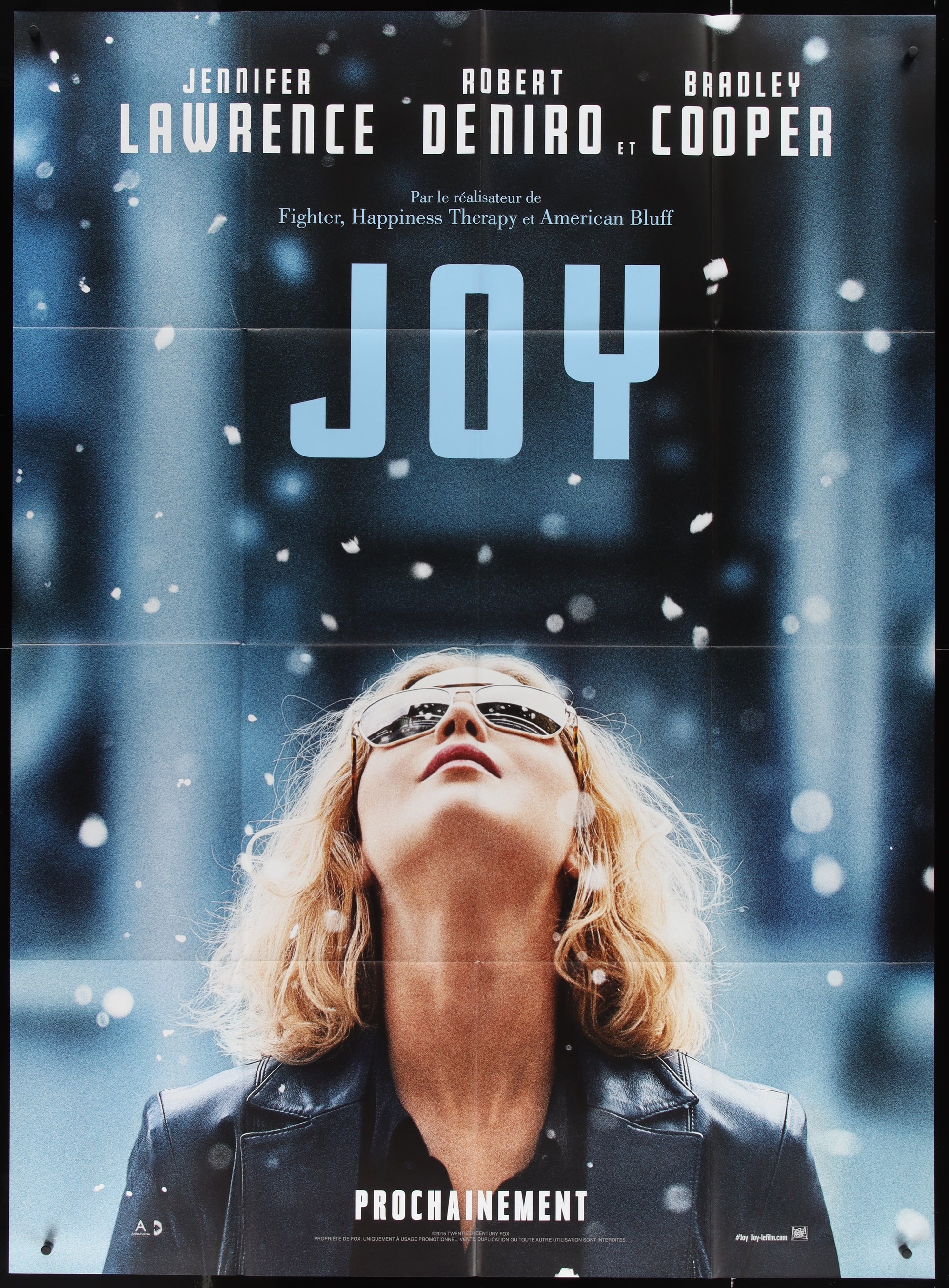 A movie poster featuring the actress Jennifer Lawrence in a pose with her gaze directed upwards, surrounded by snowflakes, indicative of the film's setting or weather. The text 'Joy' and the year '2015' are visible on the poster.