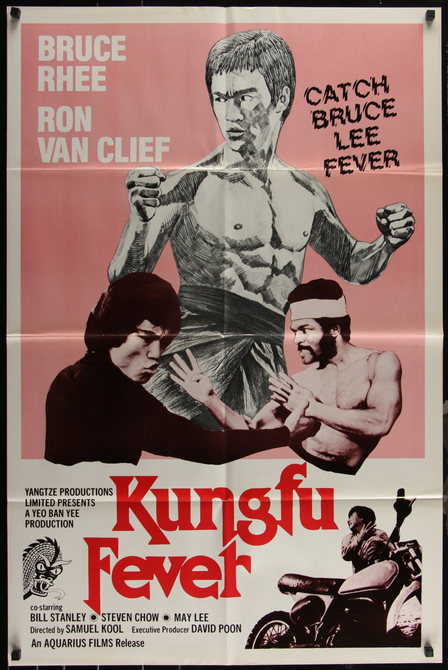 Vintage style movie poster for 'Kung Fu Fever' featuring two men fighting with martial arts moves against a pink and black background. The poster has text and the names of the actors: Bruce Rhee and Ron Van Clief.
