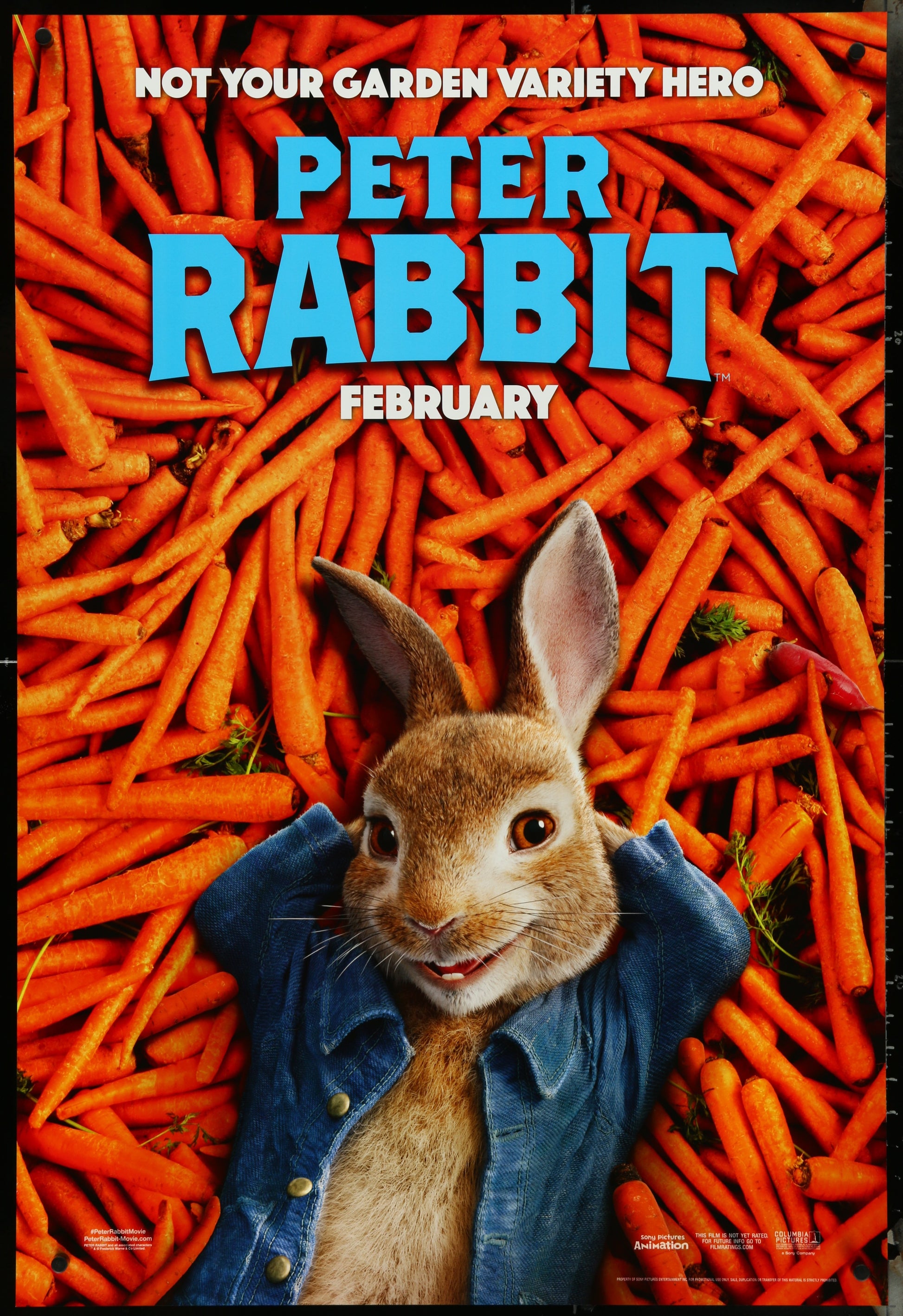 Movie poster for 'Peter Rabbit' with a rabbit character surrounded by carrots.