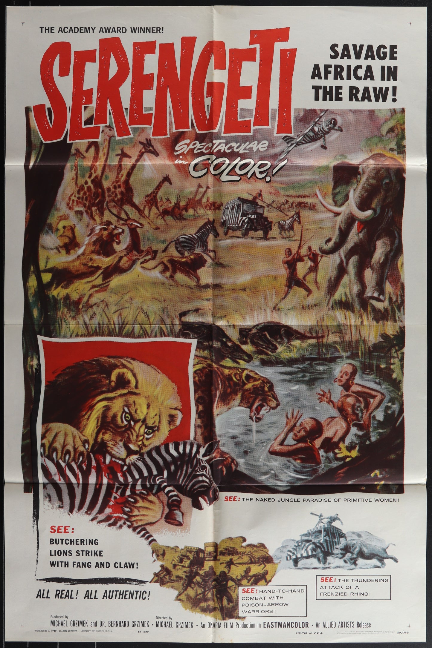 1960 one-sheet movie poster for Serengeti, depicting wildlife and landscapes of the African jungle.