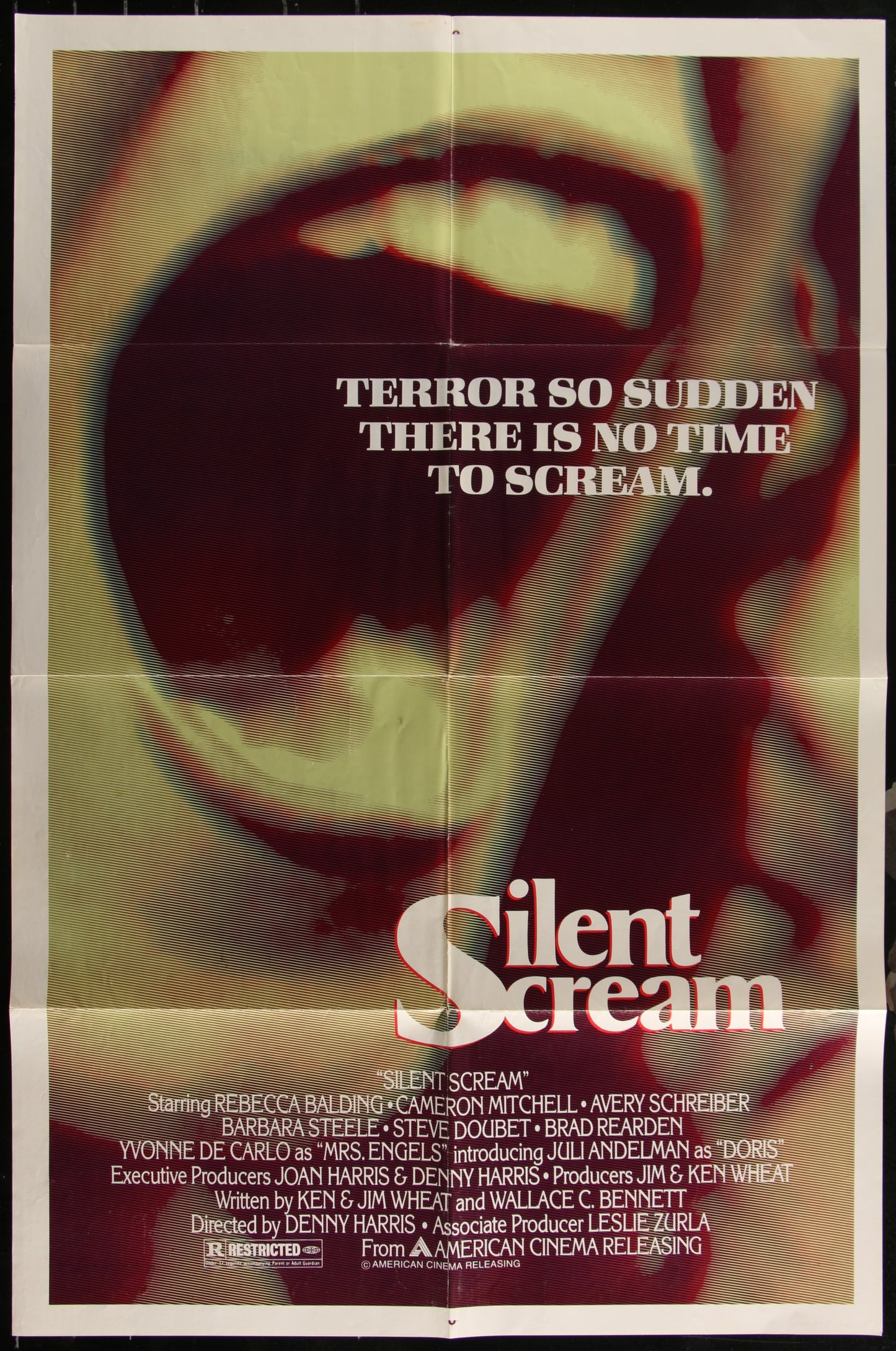 Silent Scream (1980) Original US One Sheet Movie Poster