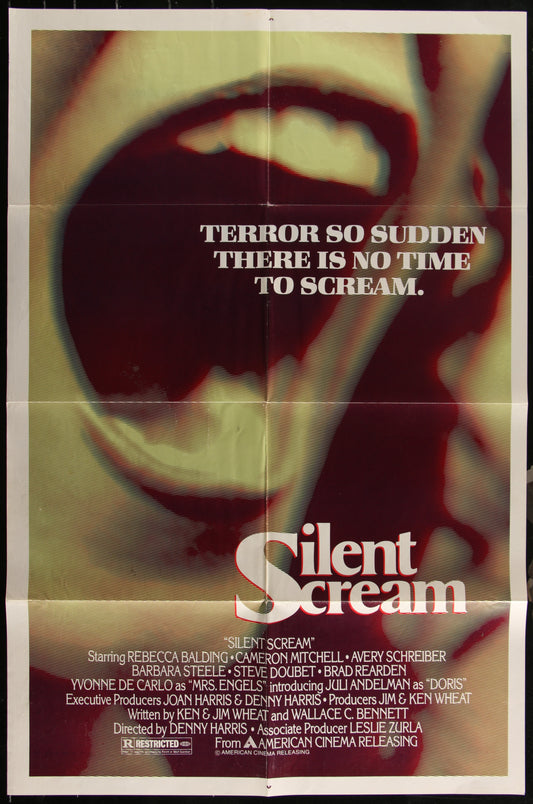 Silent Scream (1980) Original US One Sheet Movie Poster