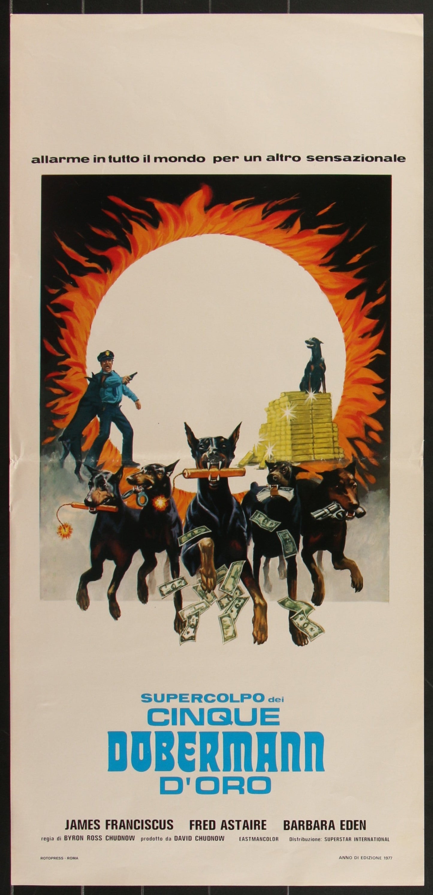 Vintage movie poster for 'Supercolpo Cinque Dobermann D'Oro' with dogs and a doghouse.