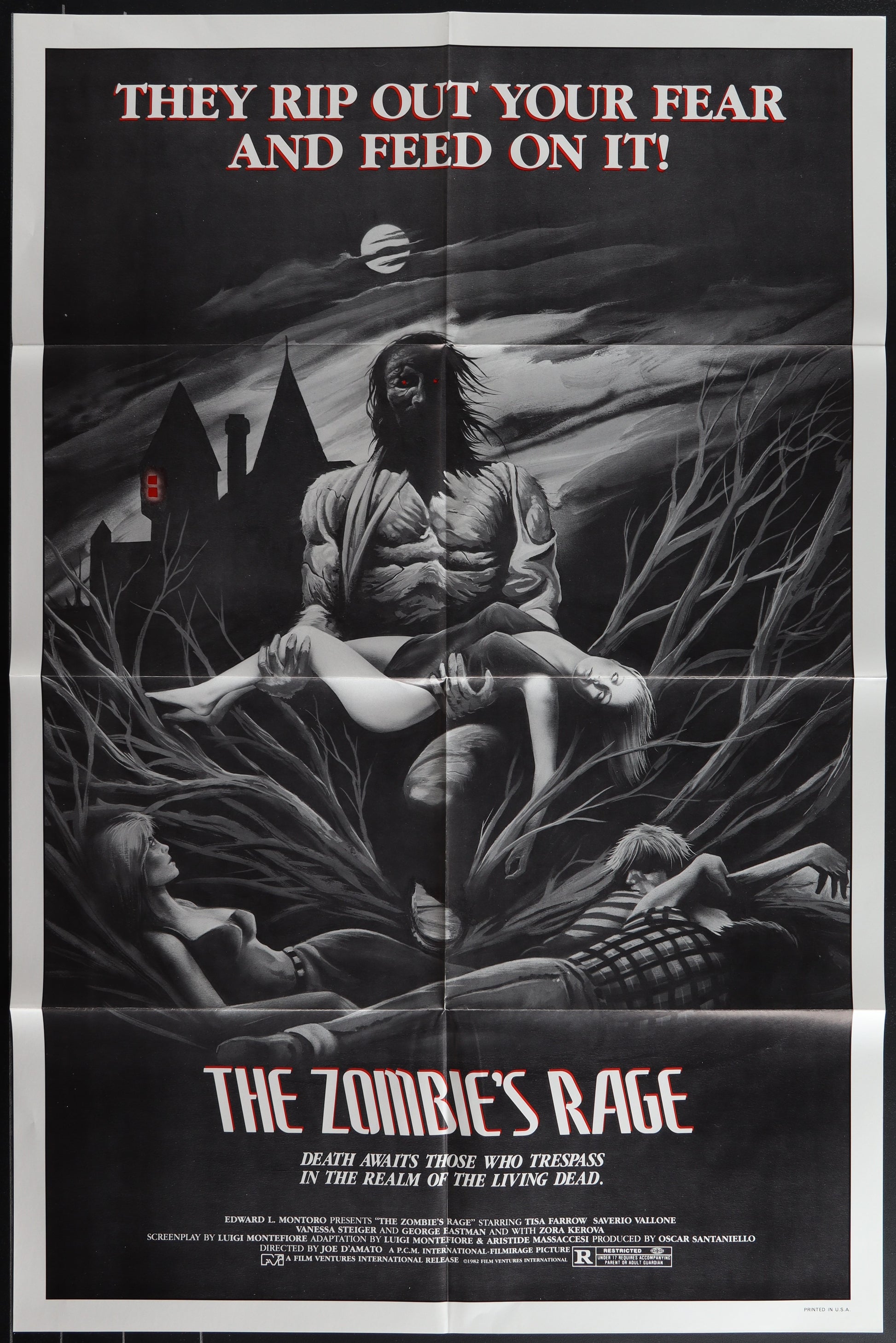 The Zombie's Rage (1982 Re-Release) Original US One Sheet Movie Poster
