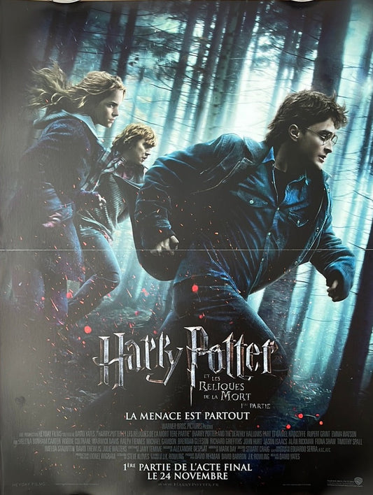 Harry Potter French Petite Cinema Poster