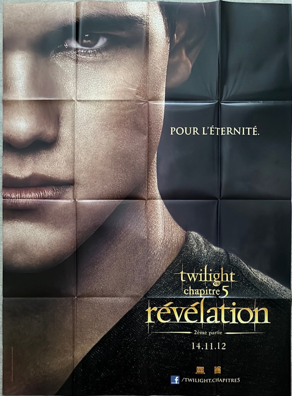 Twilight: Breaking Dawn Part 2 (2012) Original French One Panel Cinema Poster