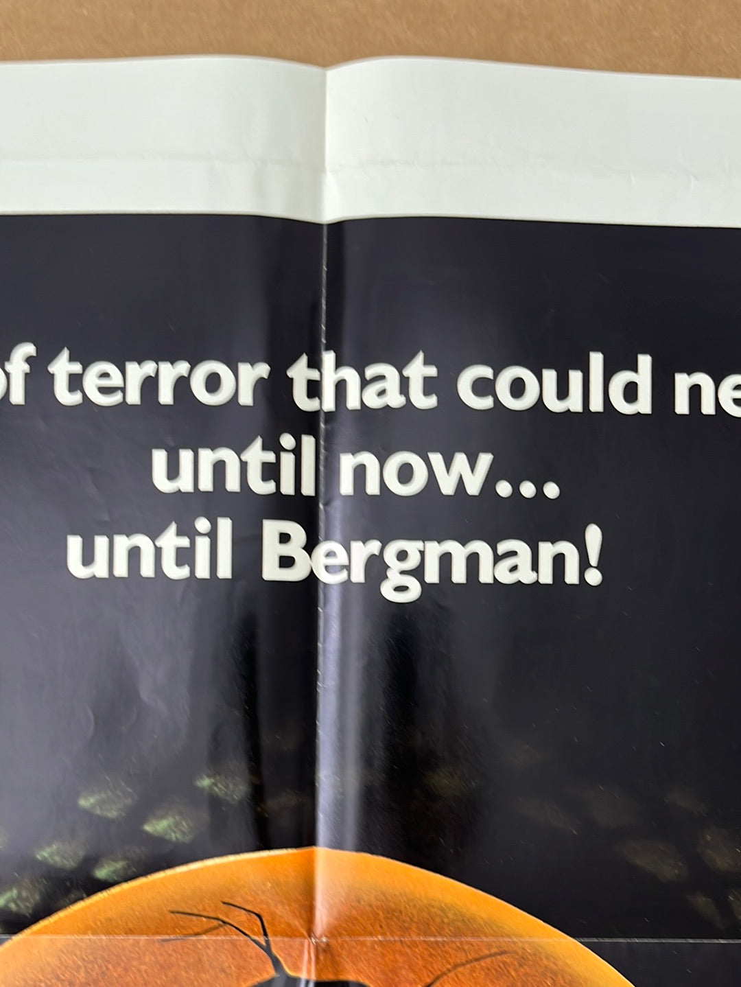 The Serpent's Egg (1978) Original US One Sheet Cinema Poster