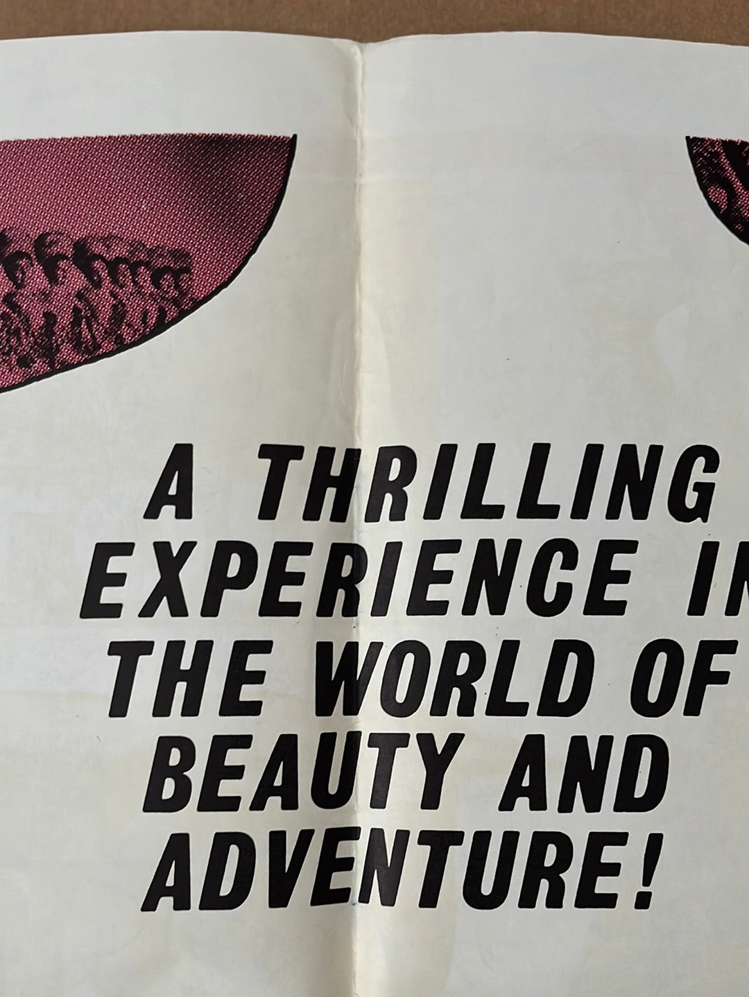 Beauty And The Body (1963) Original US One Sheet Cinema Poster