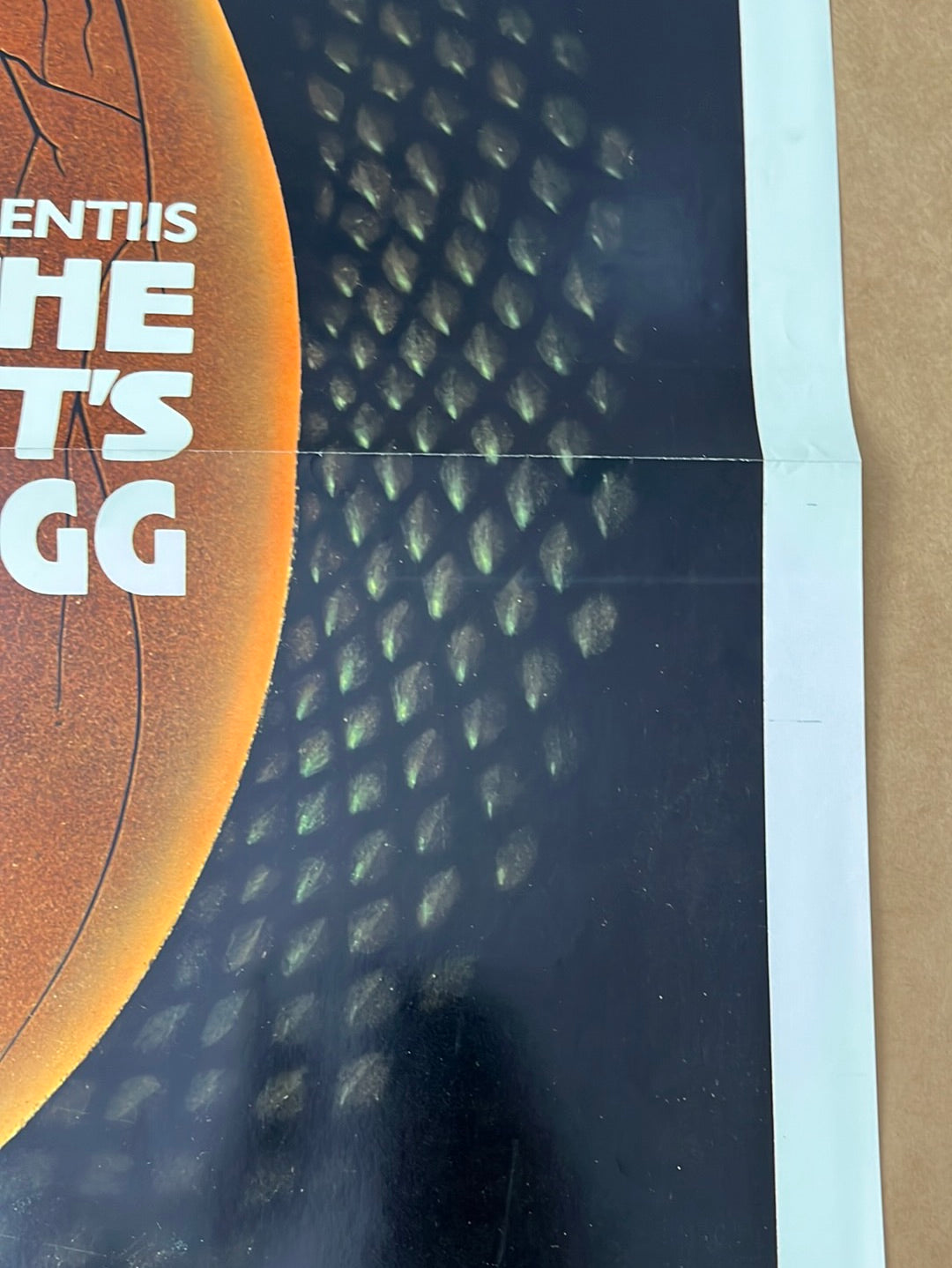 The Serpent's Egg (1978) Original US One Sheet Cinema Poster