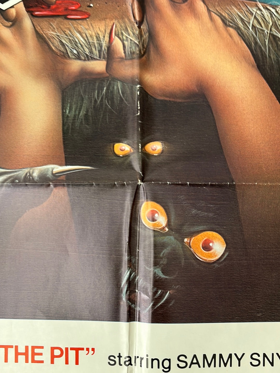 The Pit (1980) Original US One Sheet Cinema Poster