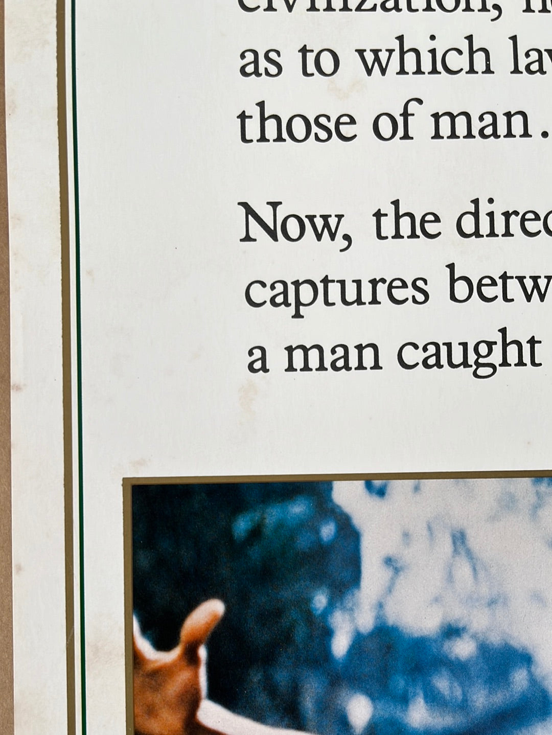 Greystoke - The Legend Of Tarzan (1983) Original US Insert Cinema Poster