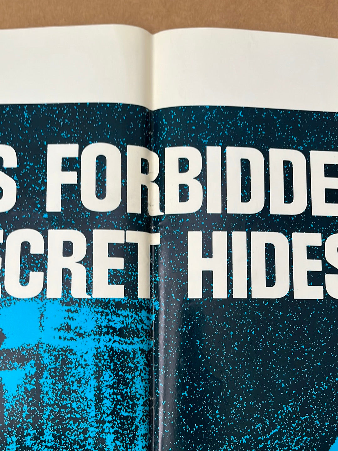 Horror House (1970) Original US One Sheet Cinema Poster